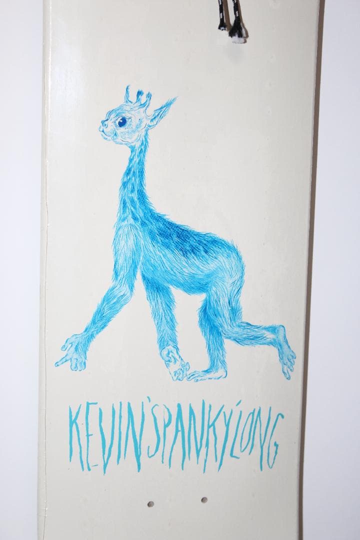 値下 新品未使用 Baker Spanky Deck デッキ 8.19