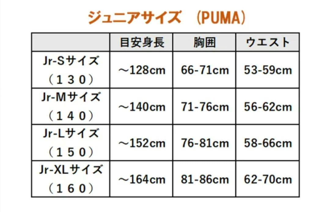 PUMA ポルトガル代表 クリスティアーノ・ロナウド ジュニア ユニフォーム