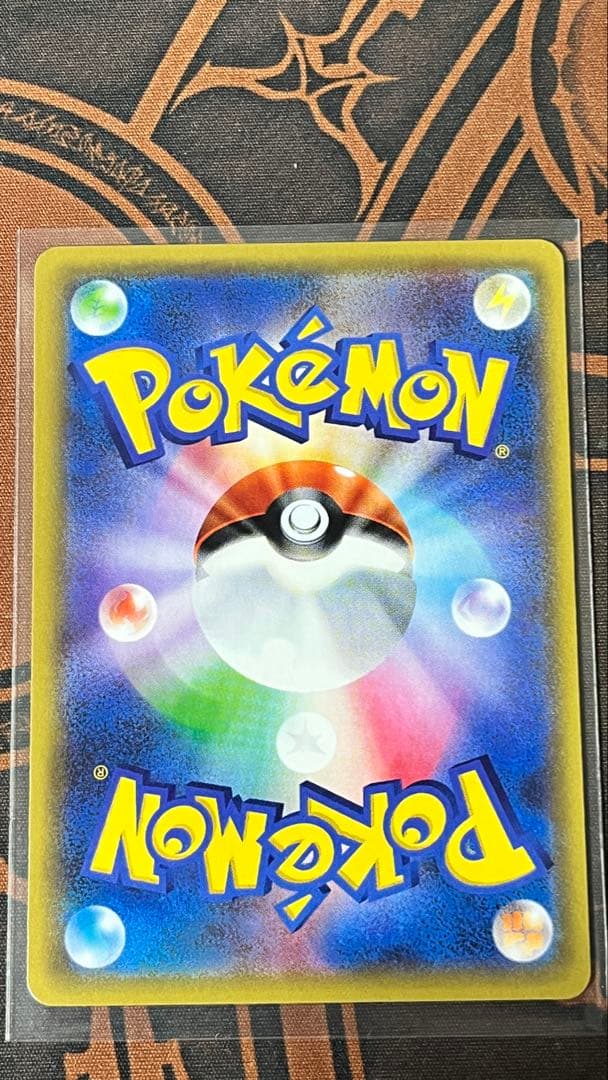 チコリータ cp3 3枚