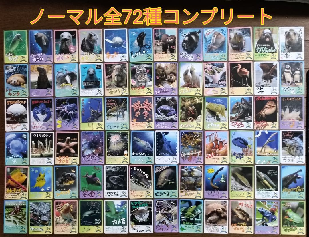 鳥羽水族館 コレクションカード ノーマルカード 全72種 コンプリート