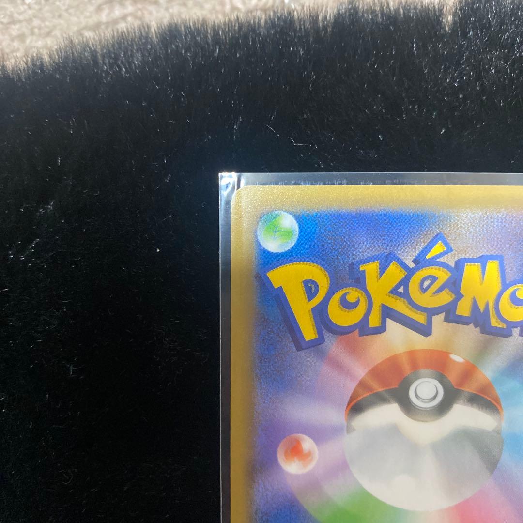 ポケカ　ブラッキー25th 2枚セット