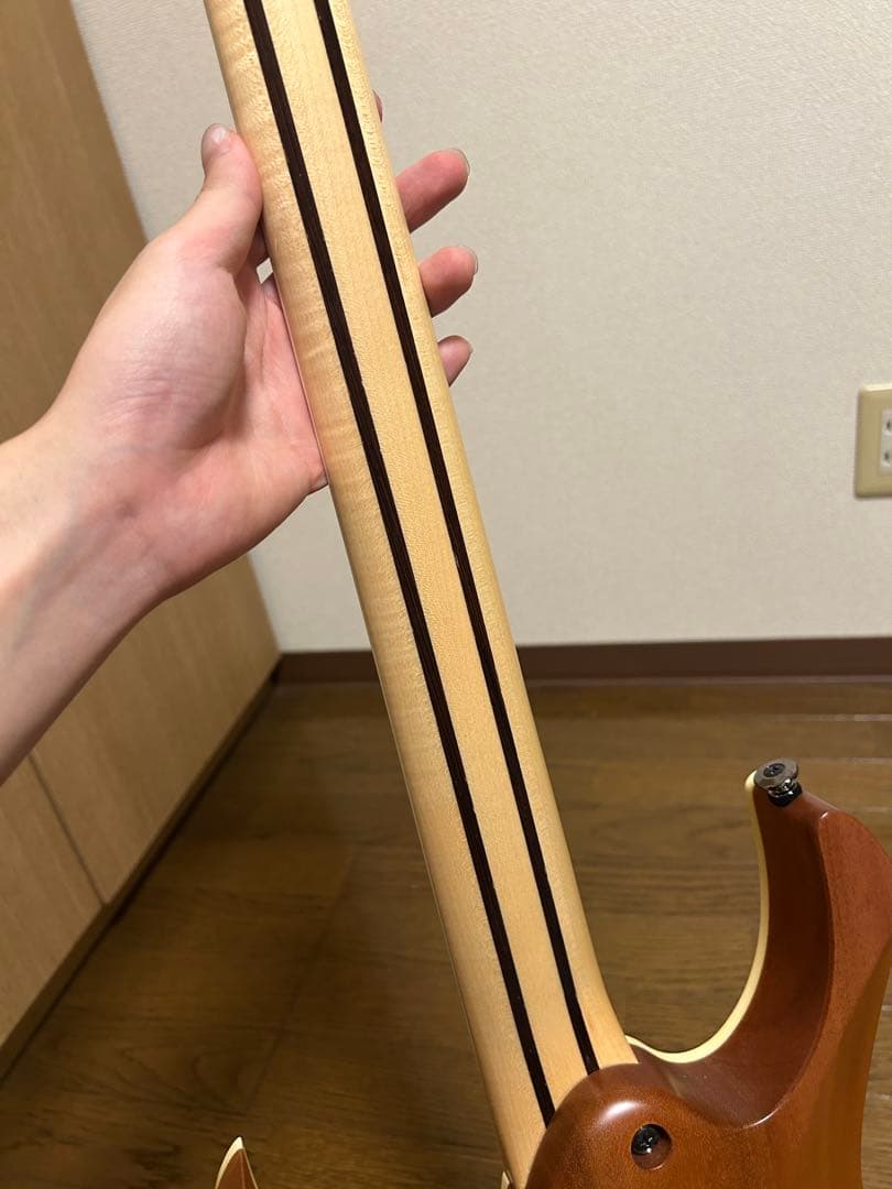 ギター Ibanez Prestige RG5121 DBF