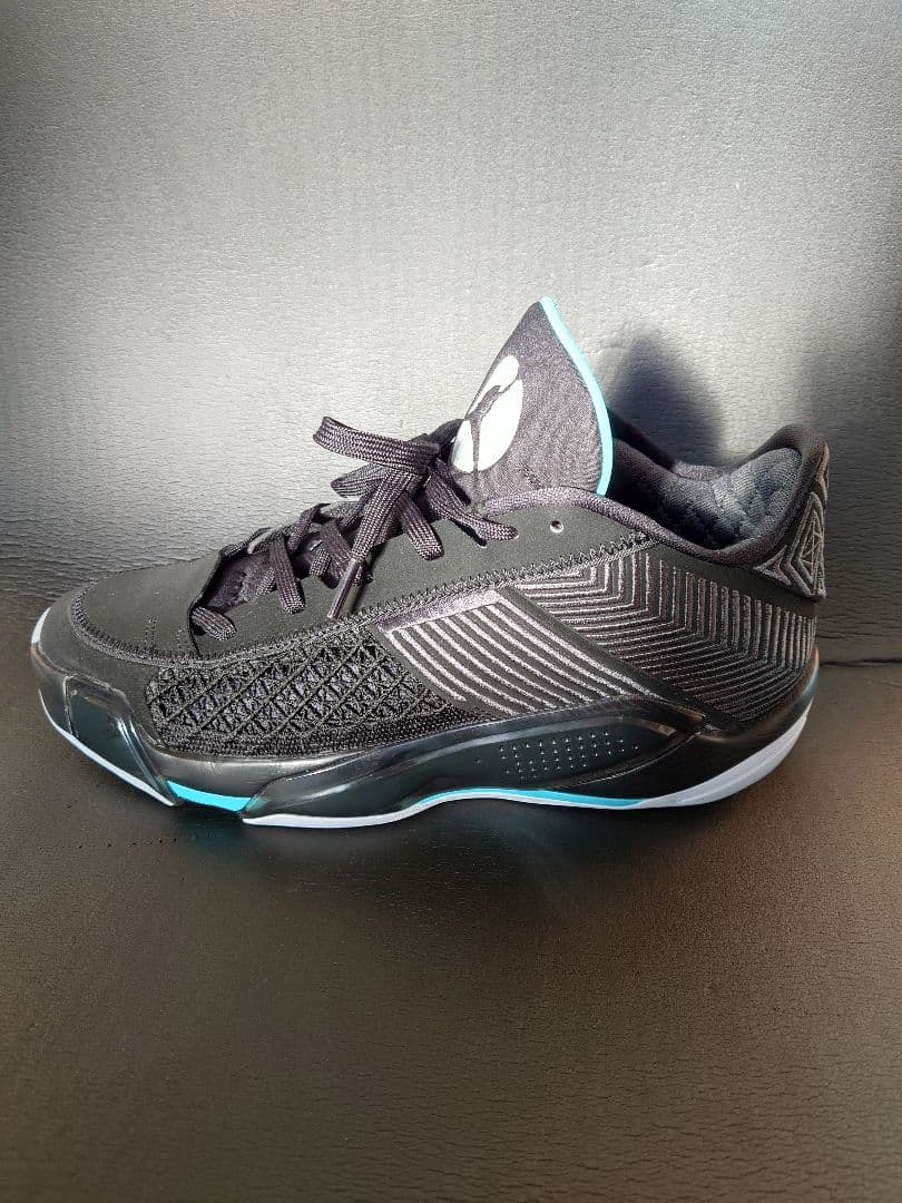 シューズ(男性用) JORDAN38 LOW