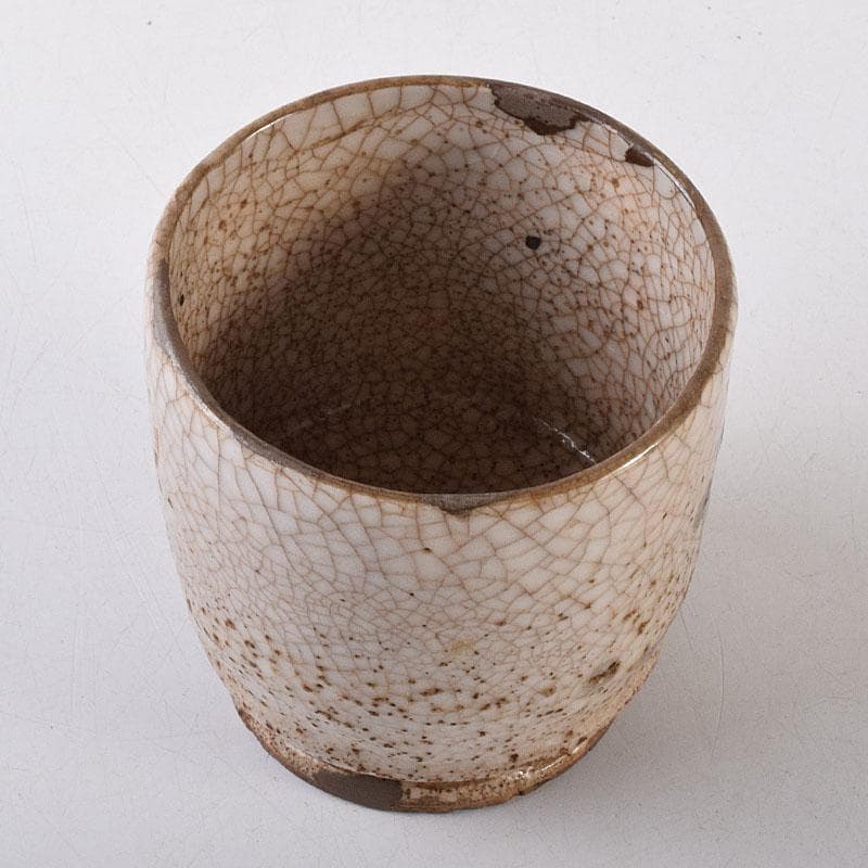 茶道具　古志野　梅絵図　茶碗　時代箱　V　R8652