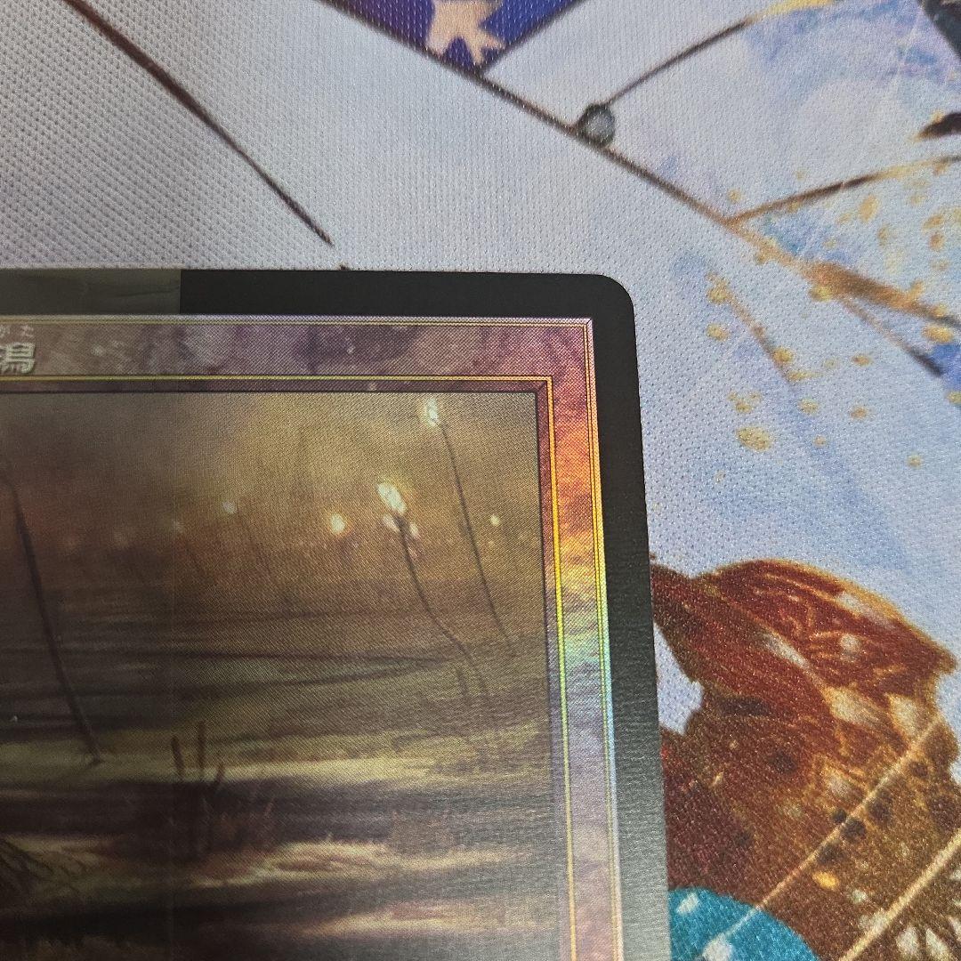 MTG 湿地の干潟　旧枠　foil　画像2.3を2枚