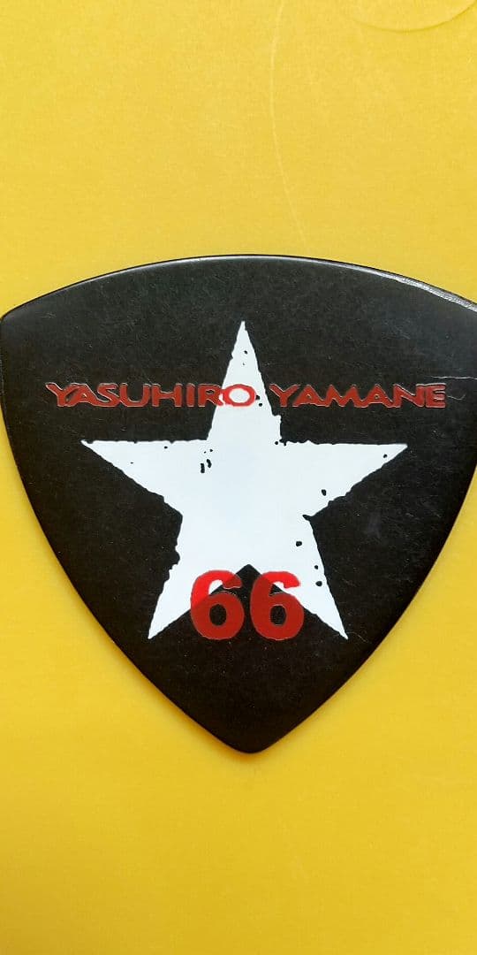 山根康広 10thライブ 本人使用ギターピッグ