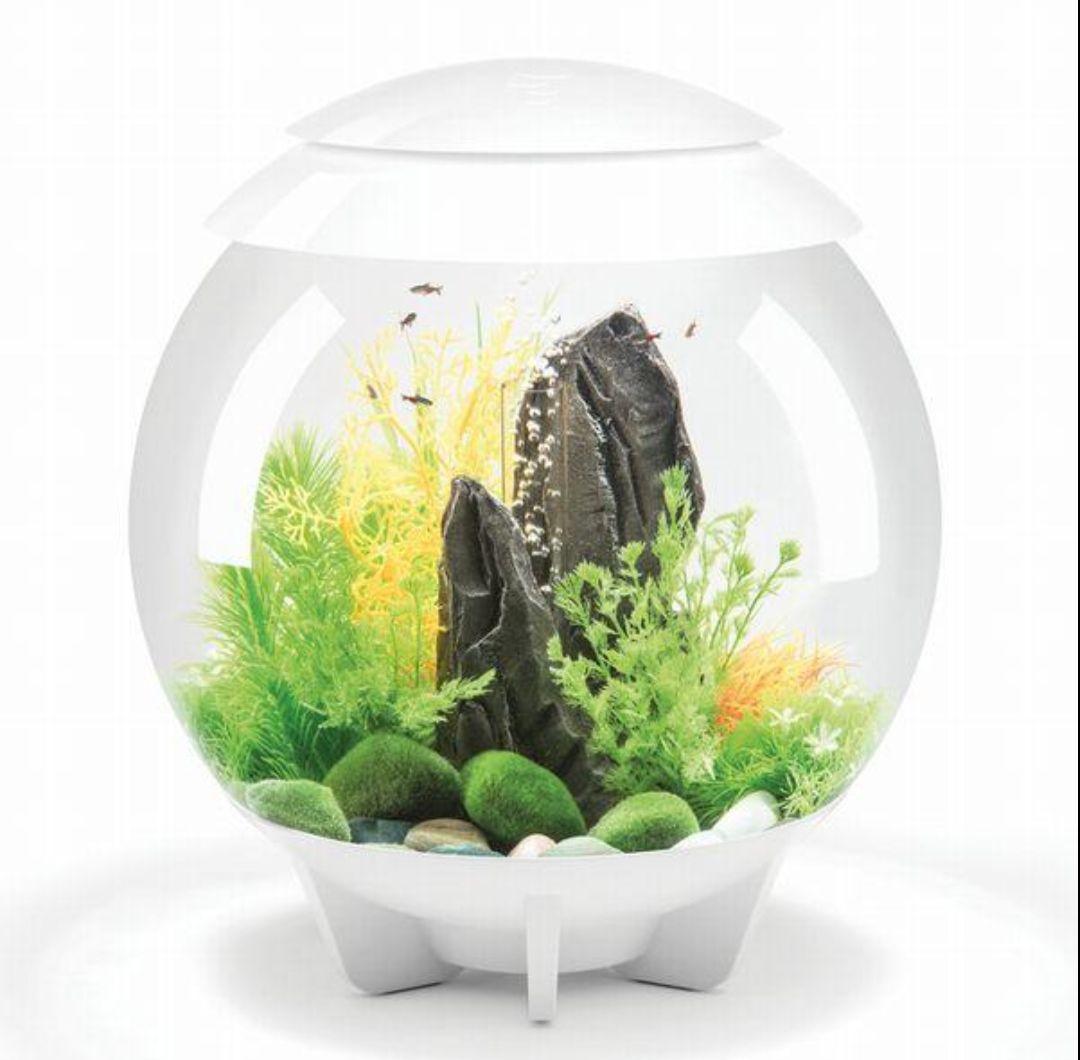 【doumodes】バイオーブ 水槽換えフィルター付き