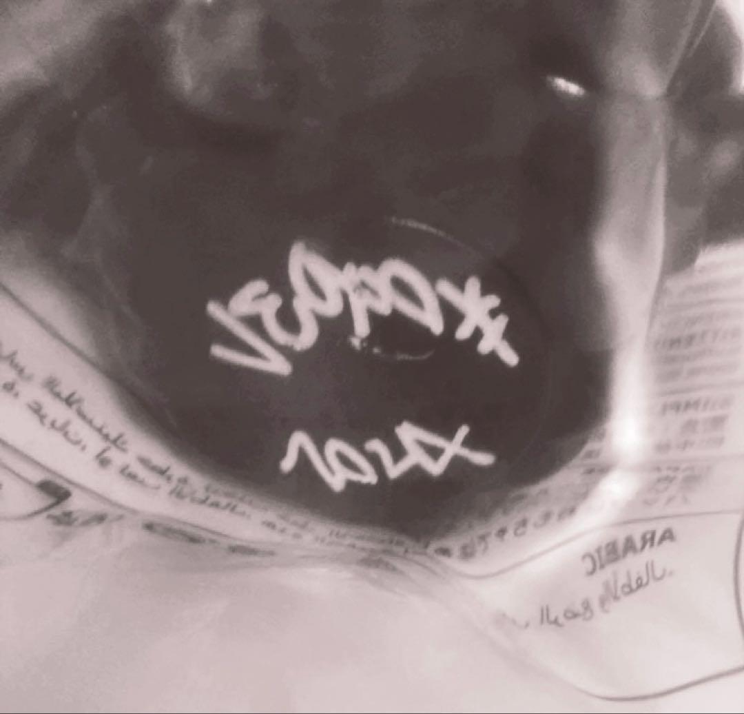 Visty フィギュア verdy toy 15体限定 サイン入り個体 送料無料