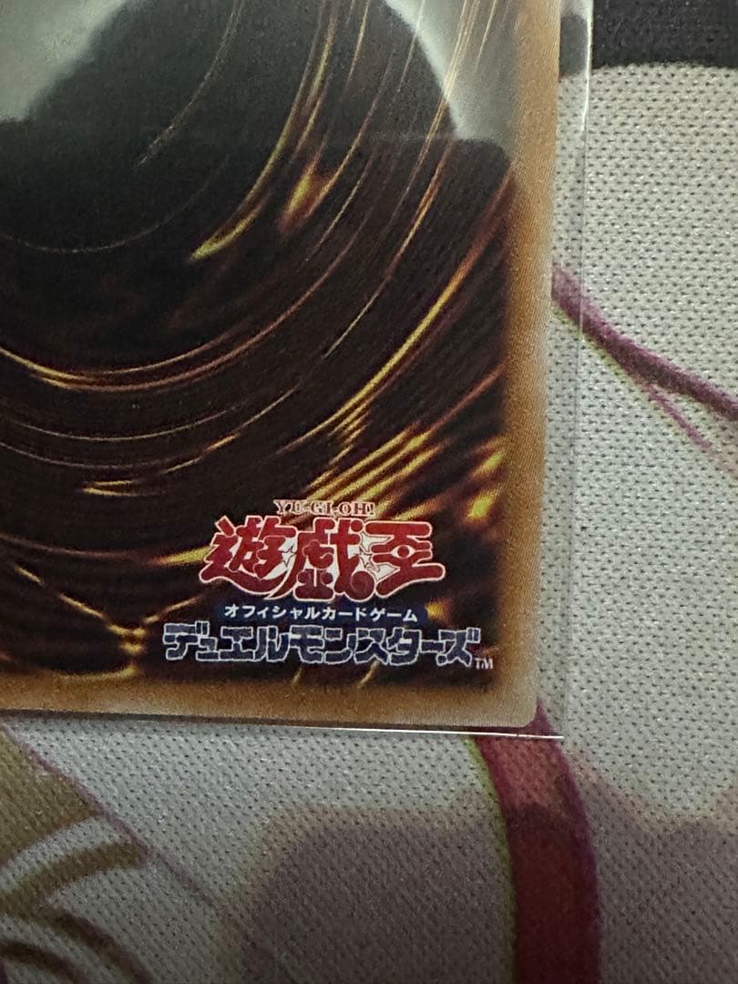 黒き竜のエクレシア プリシク