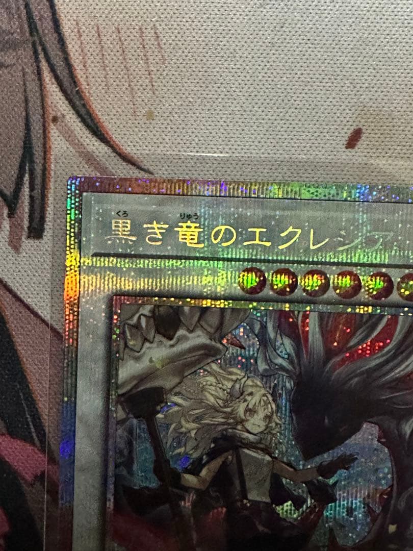 黒き竜のエクレシア プリシク