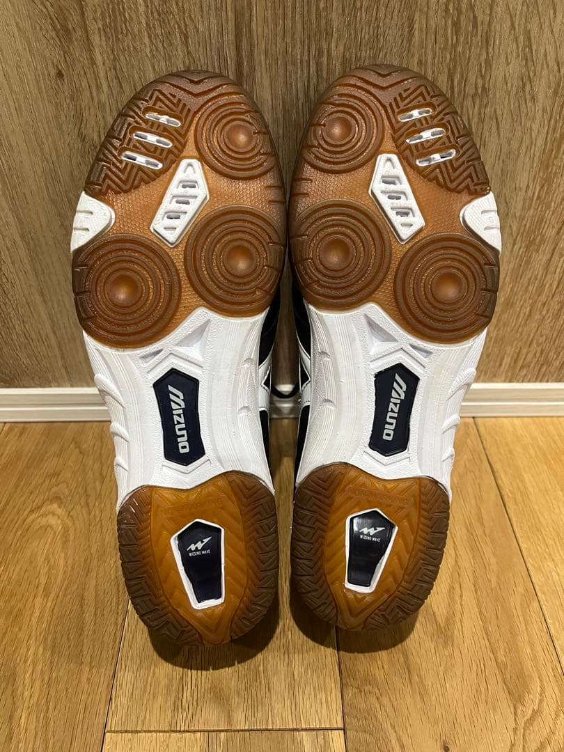 希少　mizuno ミズノ　旧型モレリアIN 26.0cm