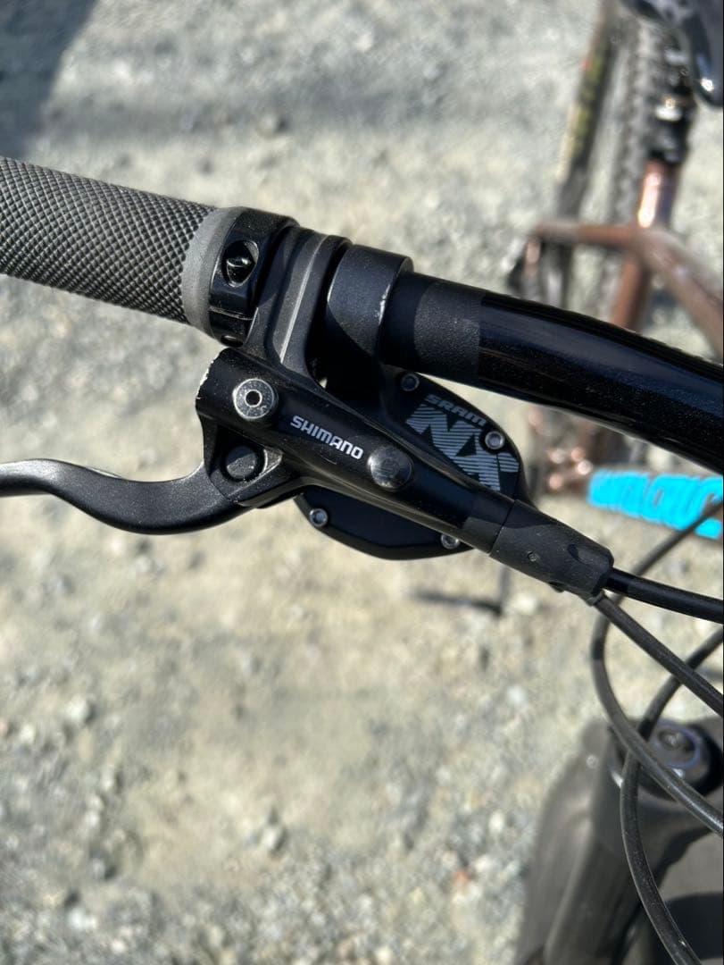 SANTACRUZ サンタクルズ　カメレオン　29er ブラウン　Mサイズ
