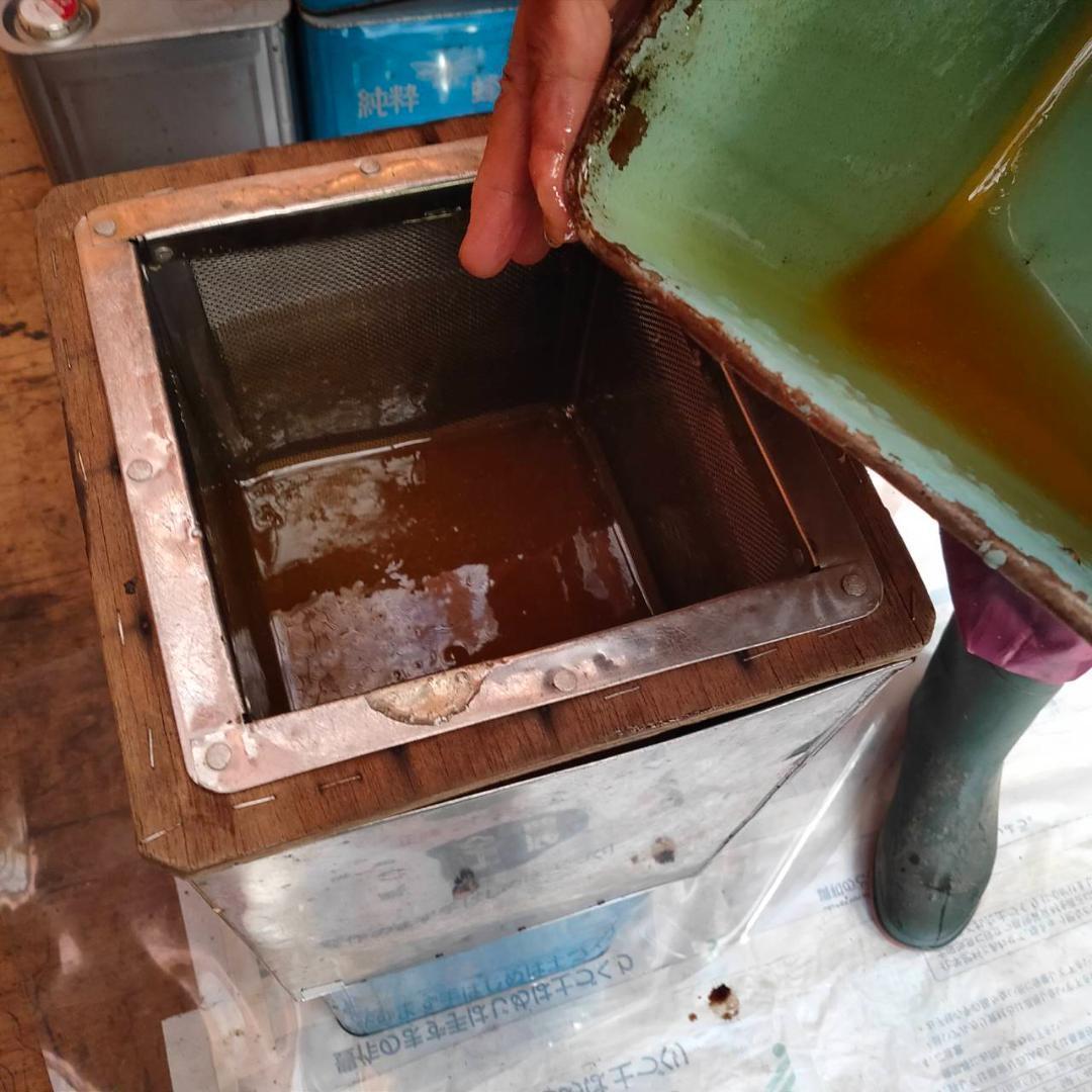 はちみつ 600g×3瓶 蜂蜜 ハチミツ 国産