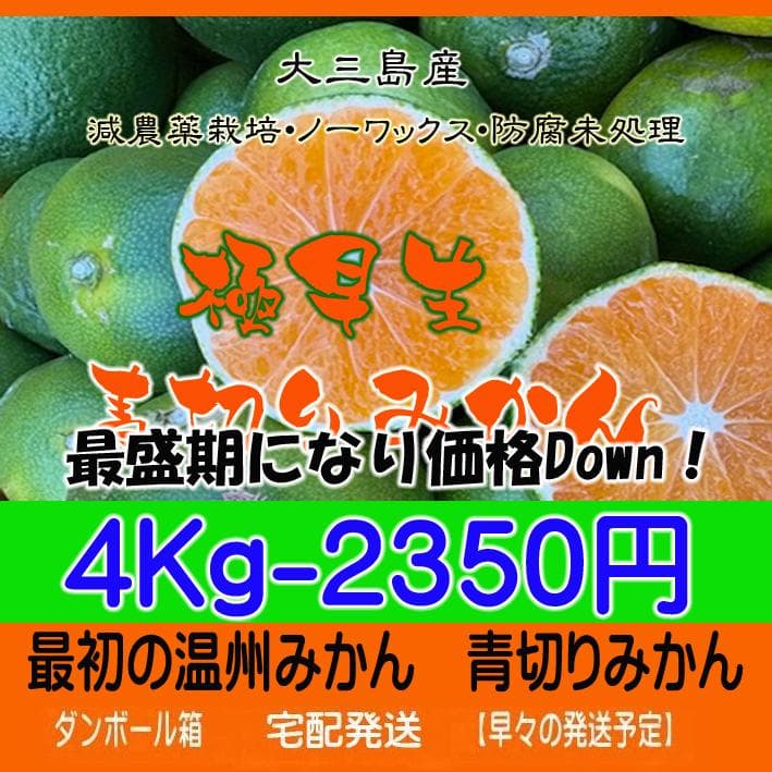 【プーちゃん】４種類ジュース12本+みかんジュース12本+極早生4Kg