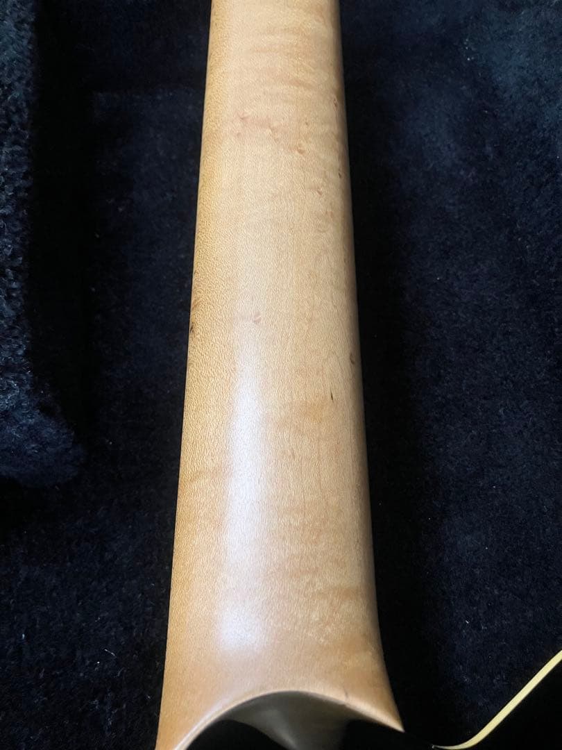 美品　Axis EX トランスゴールド　MUSIC MAN ERNIE BALL