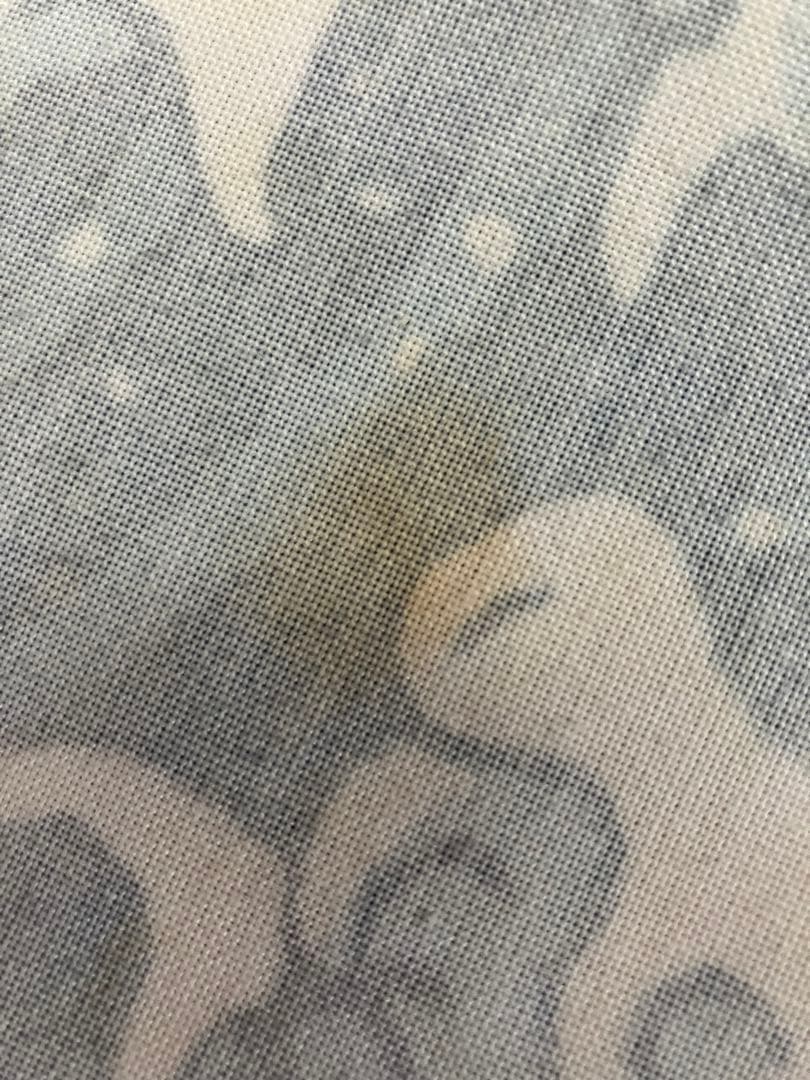 しろがね山　暖簾　ポケモン　のれん　ピカチュウ　なみのりピカチュウ　激レア完売品