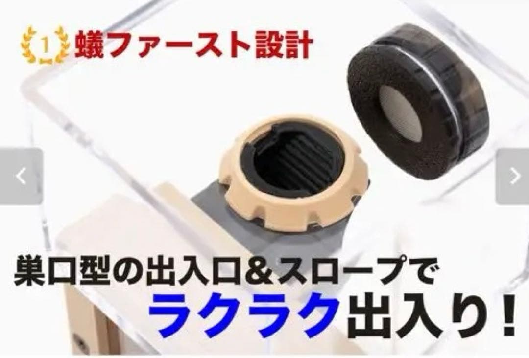 Ant case NEXST アリ飼育用ケース コンパクト