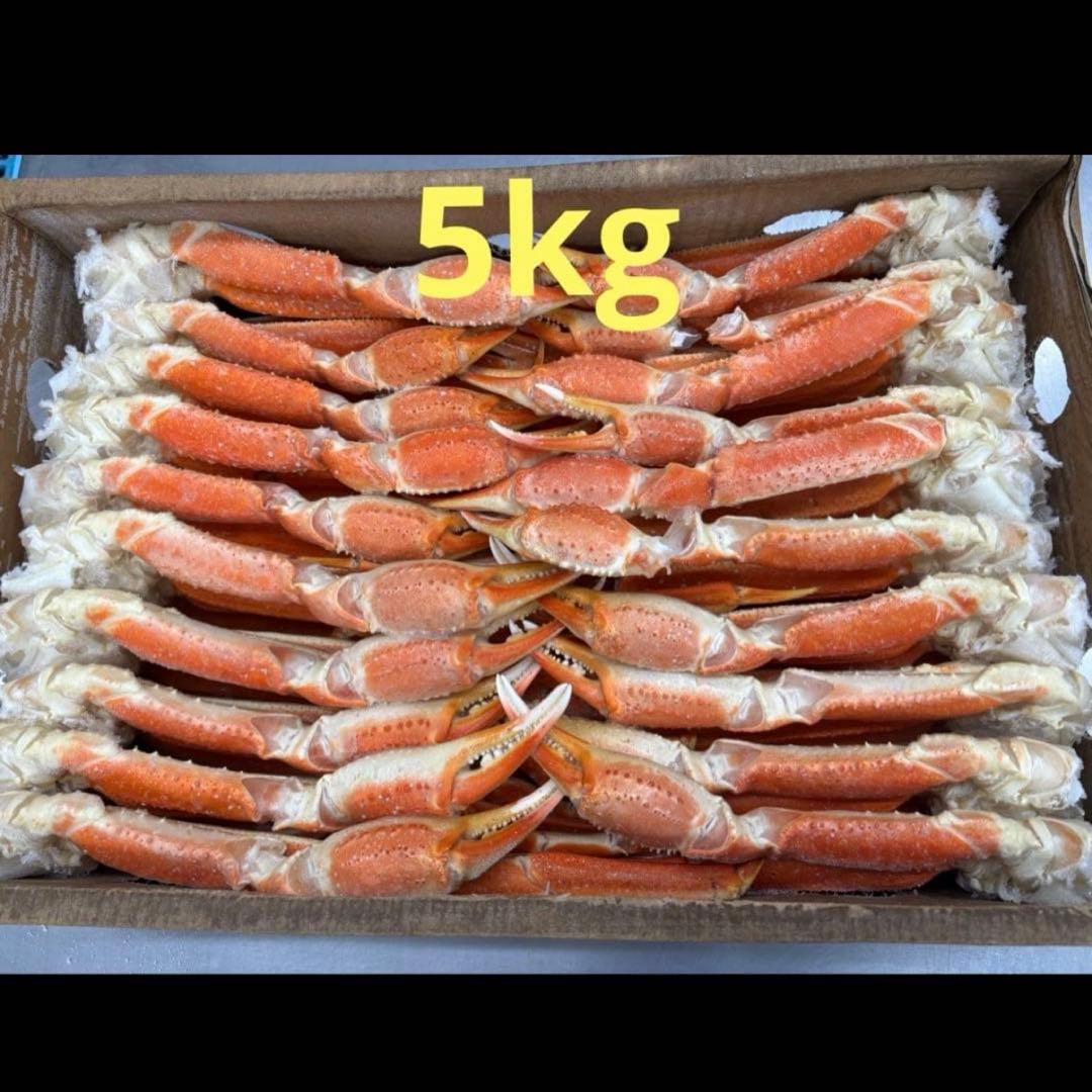 【年末分予約受付中】冷凍ボイル本ズワイ蟹 カニ 1.5kg 5~7肩