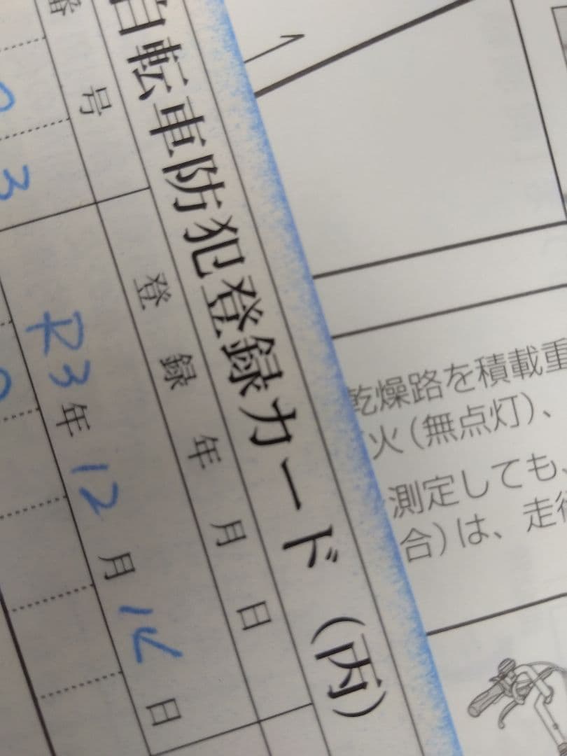 みよさん専用電動アシスト三輪車 ミントグリーン