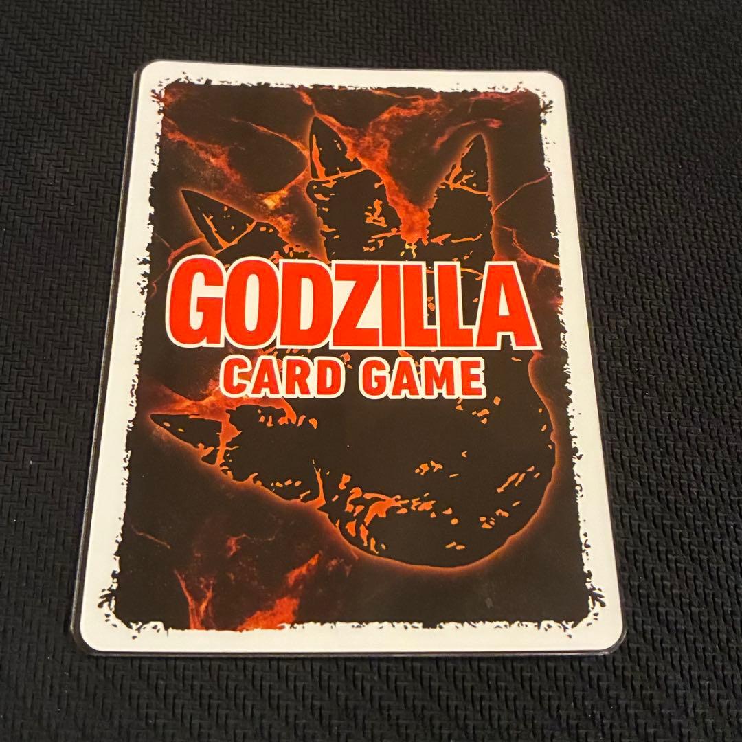 オガ品　2/8に購入お約束