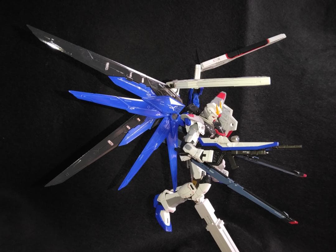 【塗装済 完成品】RG 1/144 フリーダムガンダム 光沢塗