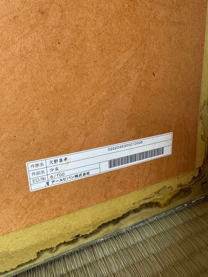 真作保証　天野喜孝　少女　絵画　ティナ　ファイナルファンタジー6