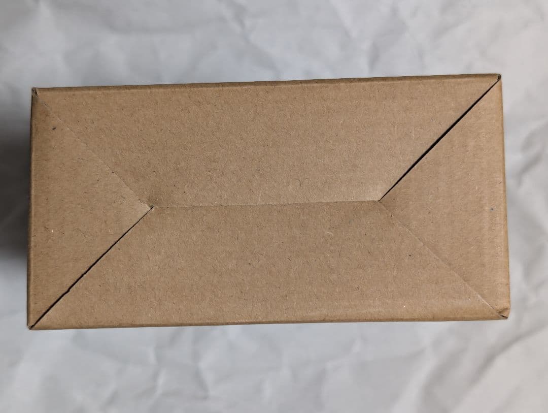 S.H.Figuarts真骨彫製法仮面ライダークウガアメイジングマイティ10th