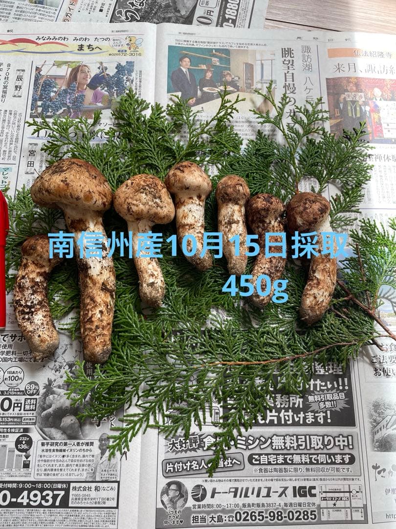 南信州産10月15日採取