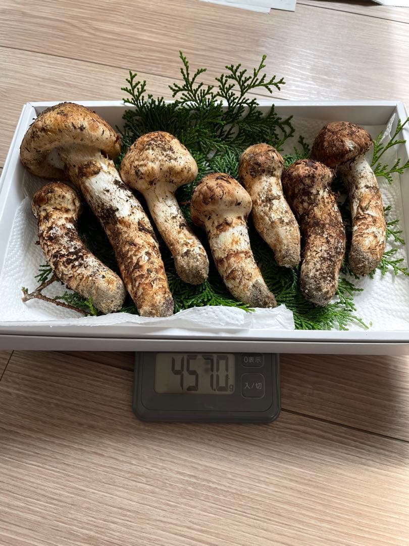 南信州産10月15日採取