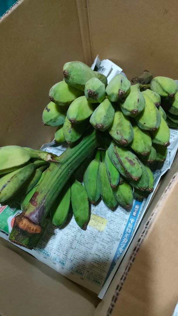 【あずきあらい】果物セット