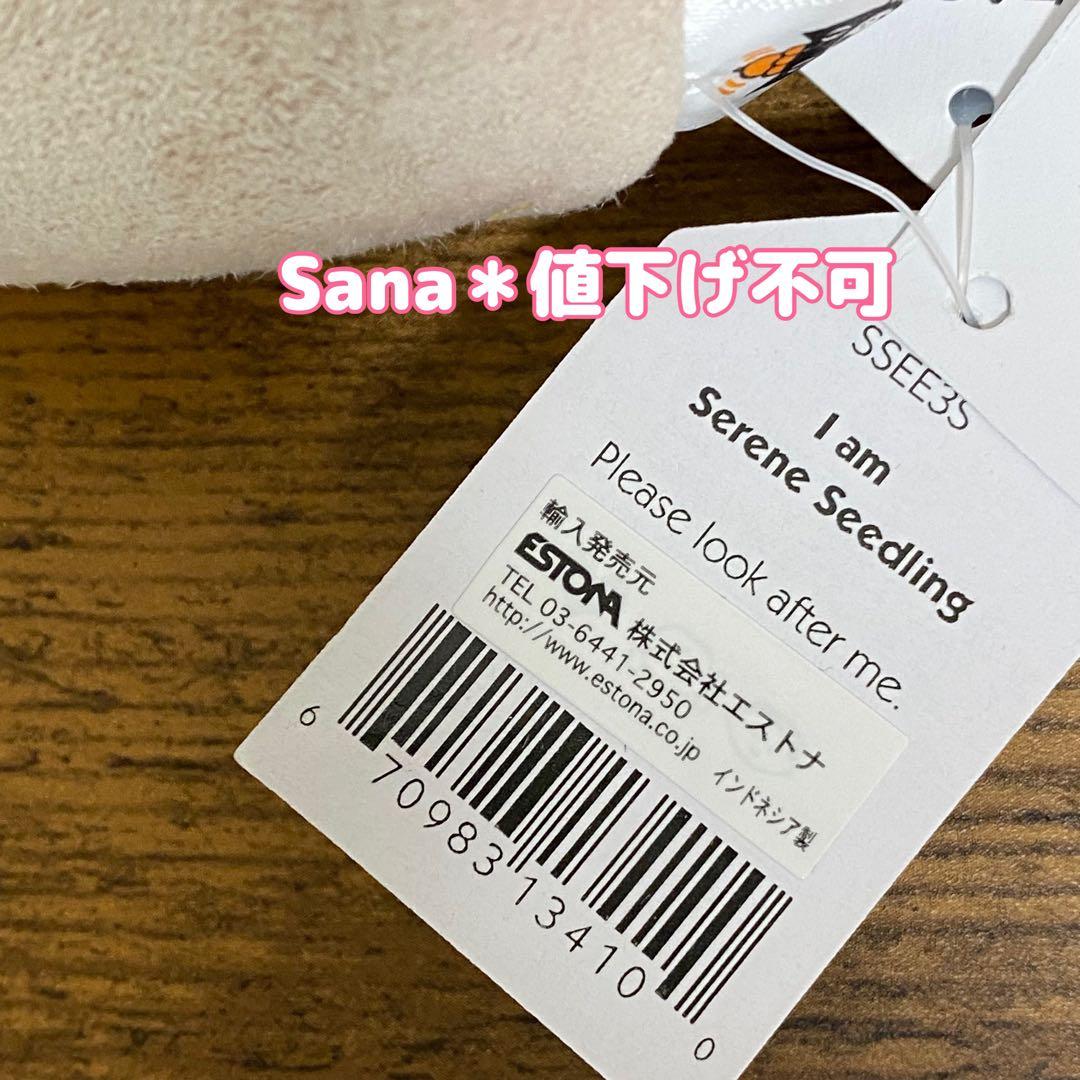 廃盤　新品タグ付き　ジェリーキャット　植物　観葉植物　鉢植え　ポット　芽