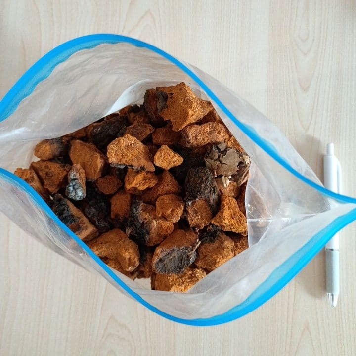 カバノアナタケ