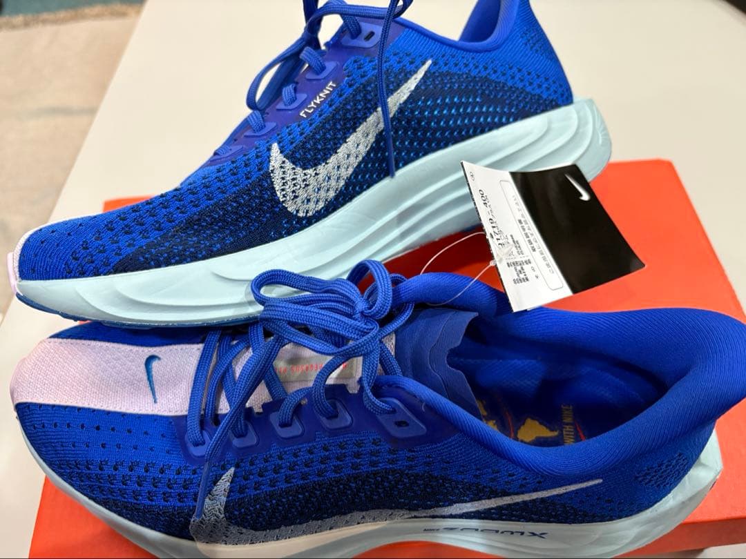 Nike ペガサスプラスCM ランニングシューズ　青　25.5㎝　H1