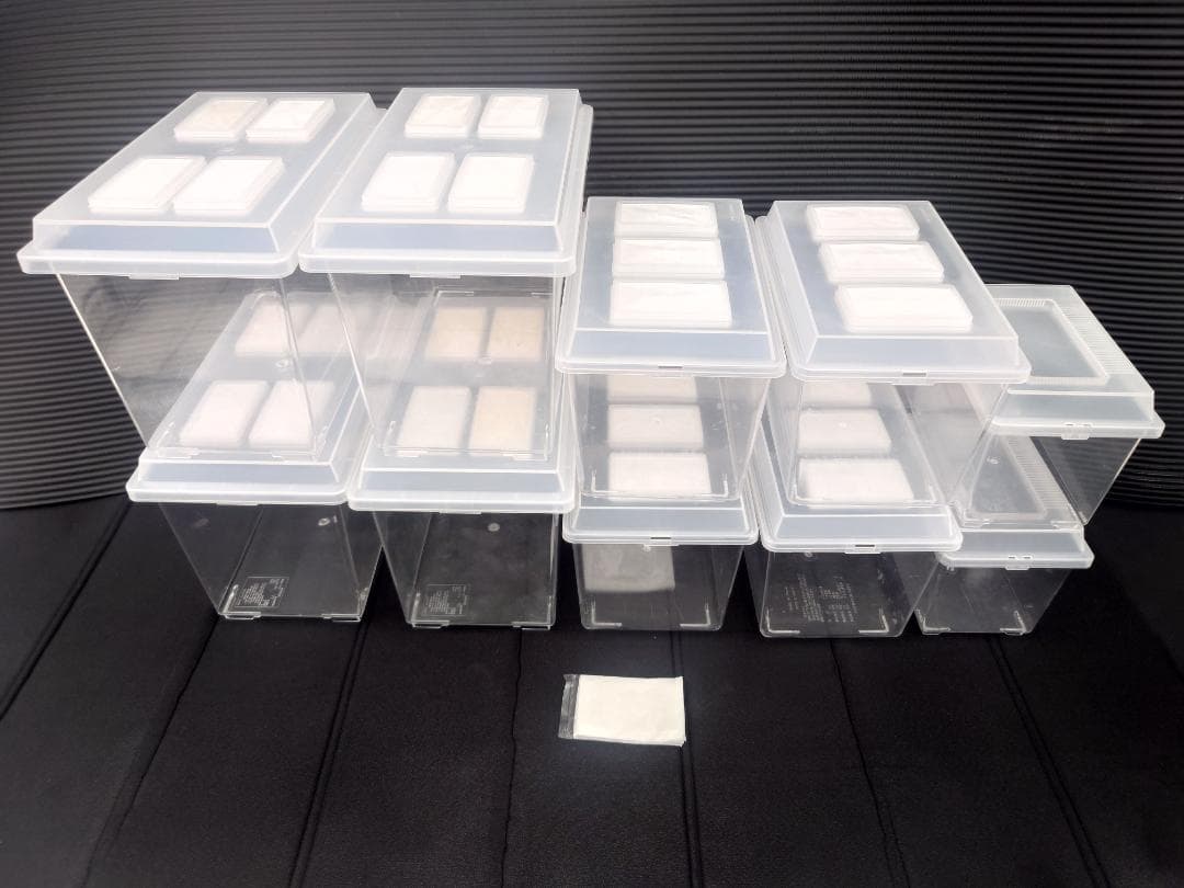 【大輔】飼育ケース　コバエシャッター大４個　中４個　他２個　交換フィルター