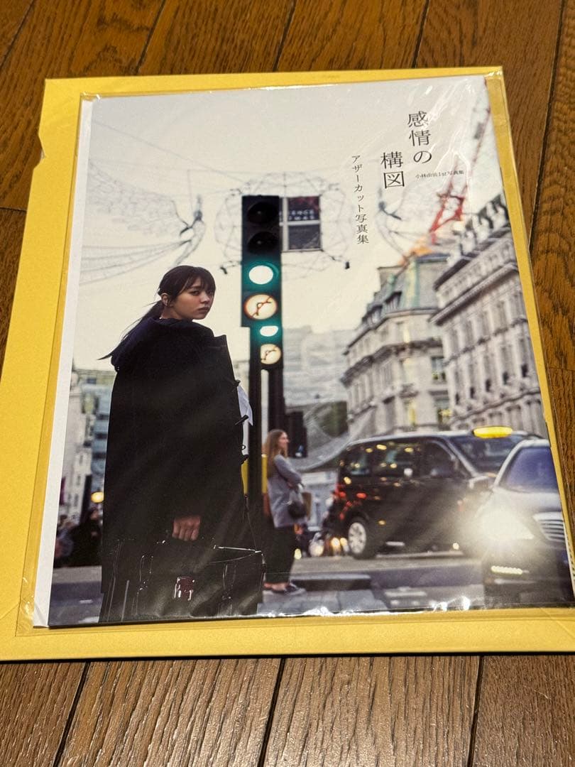 小林由依 感情の構図　アザーカット写真集