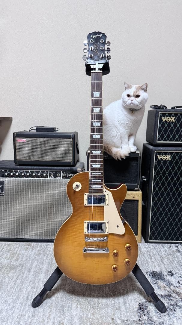 ギター Epiphone Les Paul Standard Honey Burst