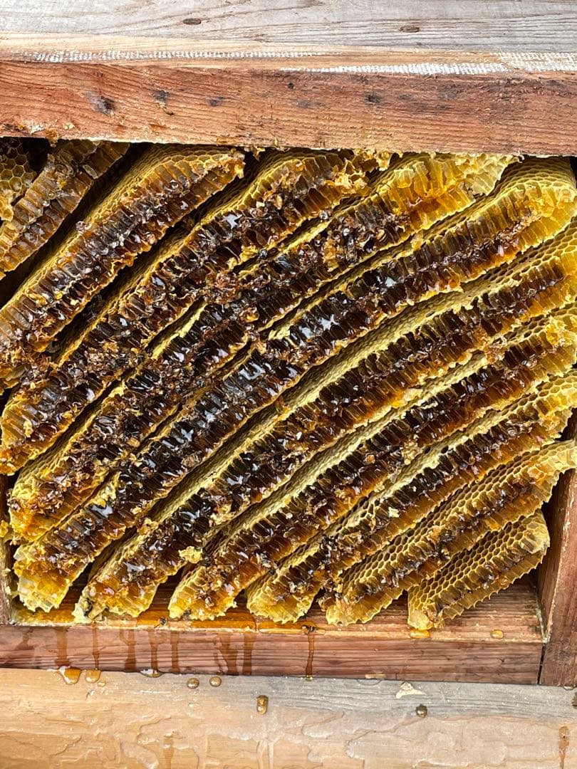 日本蜜蜂重箱式巣箱ハニーズハウス！超訳あり特価！ニセット！送料無料！