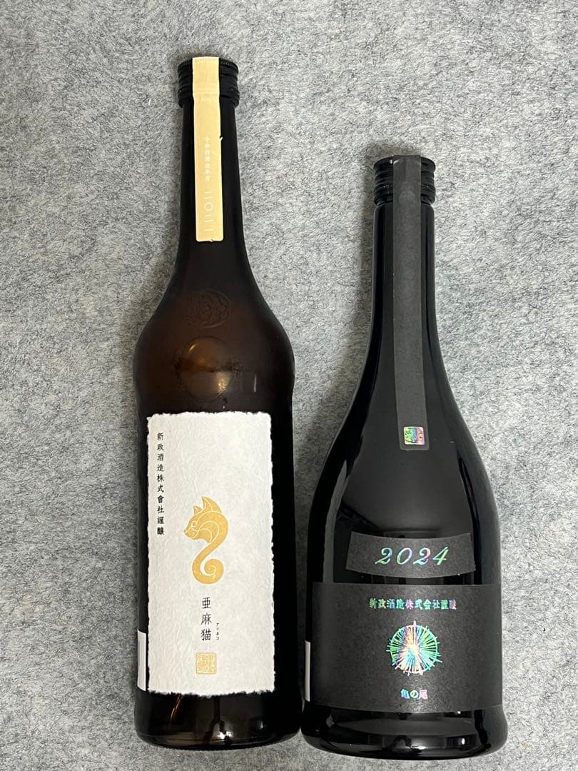 新政　亜麻猫　アッシュ　2024