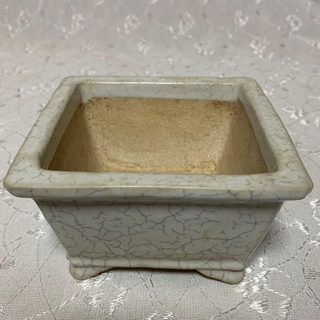 樹晃　正方　盆栽鉢