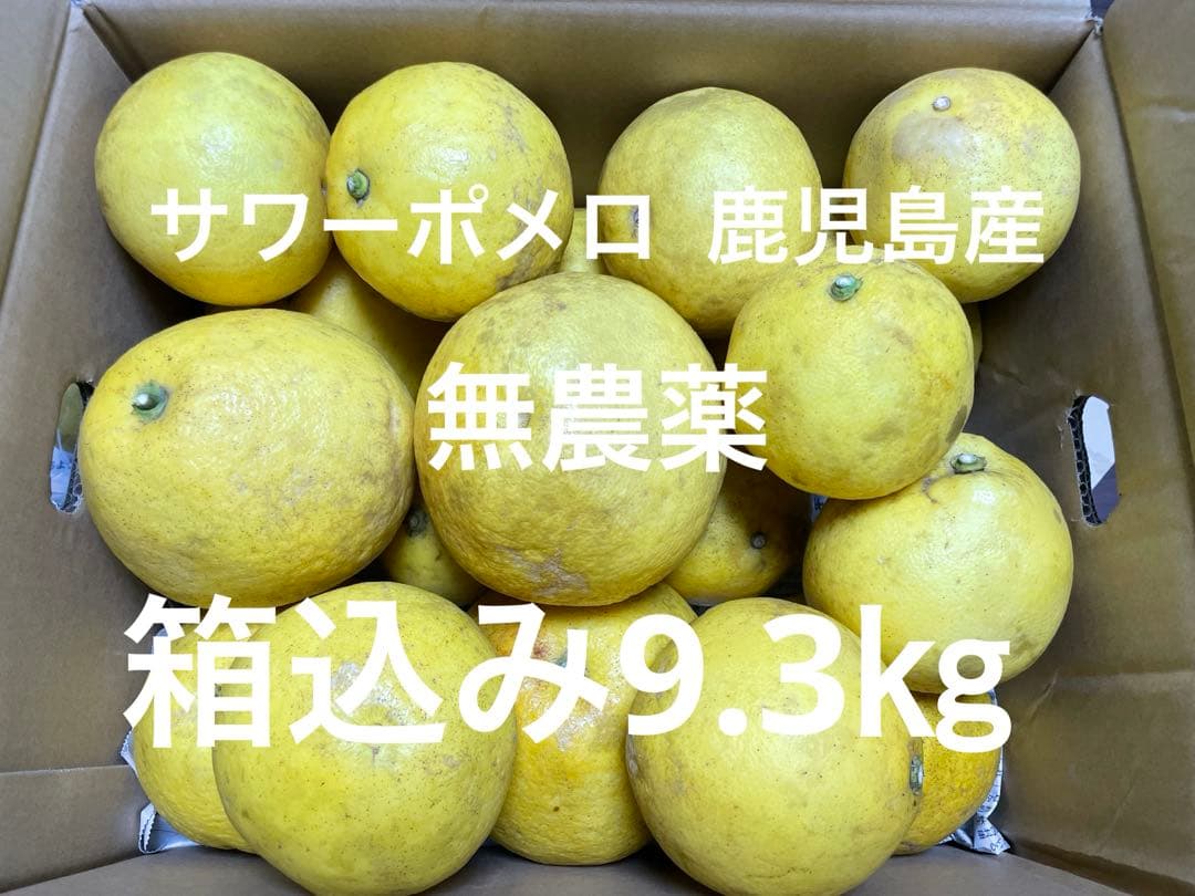 アンパンマン 　サワーポメロ 鹿児島産　箱込み9.3㎏　無農薬　農薬不使用