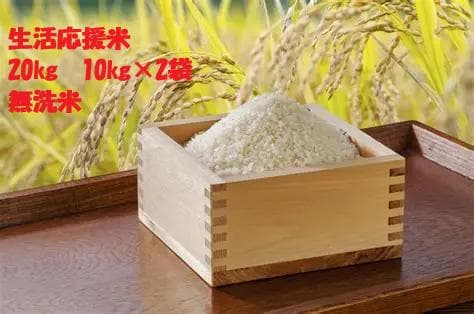 無洗米　生活応援米20kg ブレンド米　10kg×2袋
