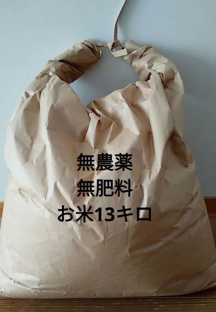 【日曜限定！】無農薬お米　13キロ　無農薬　無肥料　令和7年収穫　玄米