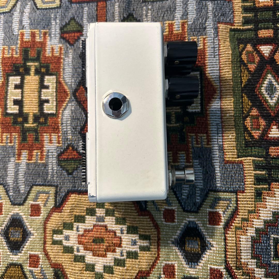 ギター L' Roger leqtique roger