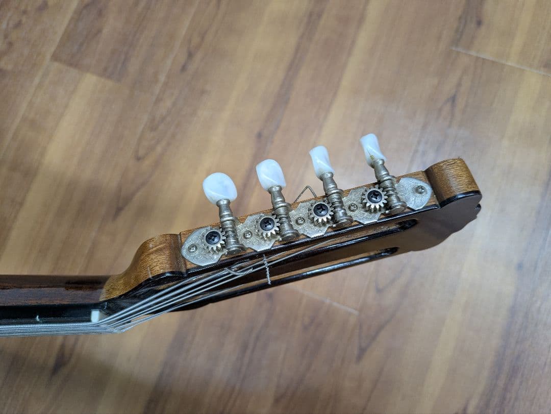 マンドラ Mandola(セミハードケース付)【落合忠男製作/特注品】