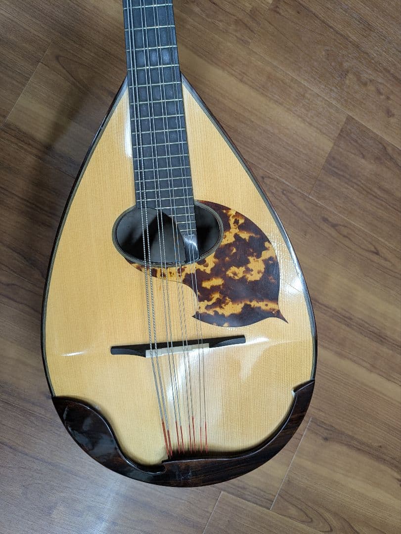 マンドラ Mandola(セミハードケース付)【落合忠男製作/特注品】