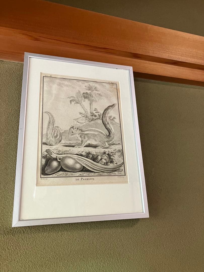 Jean Gullaume Moitte 1771 版画 アンティーク