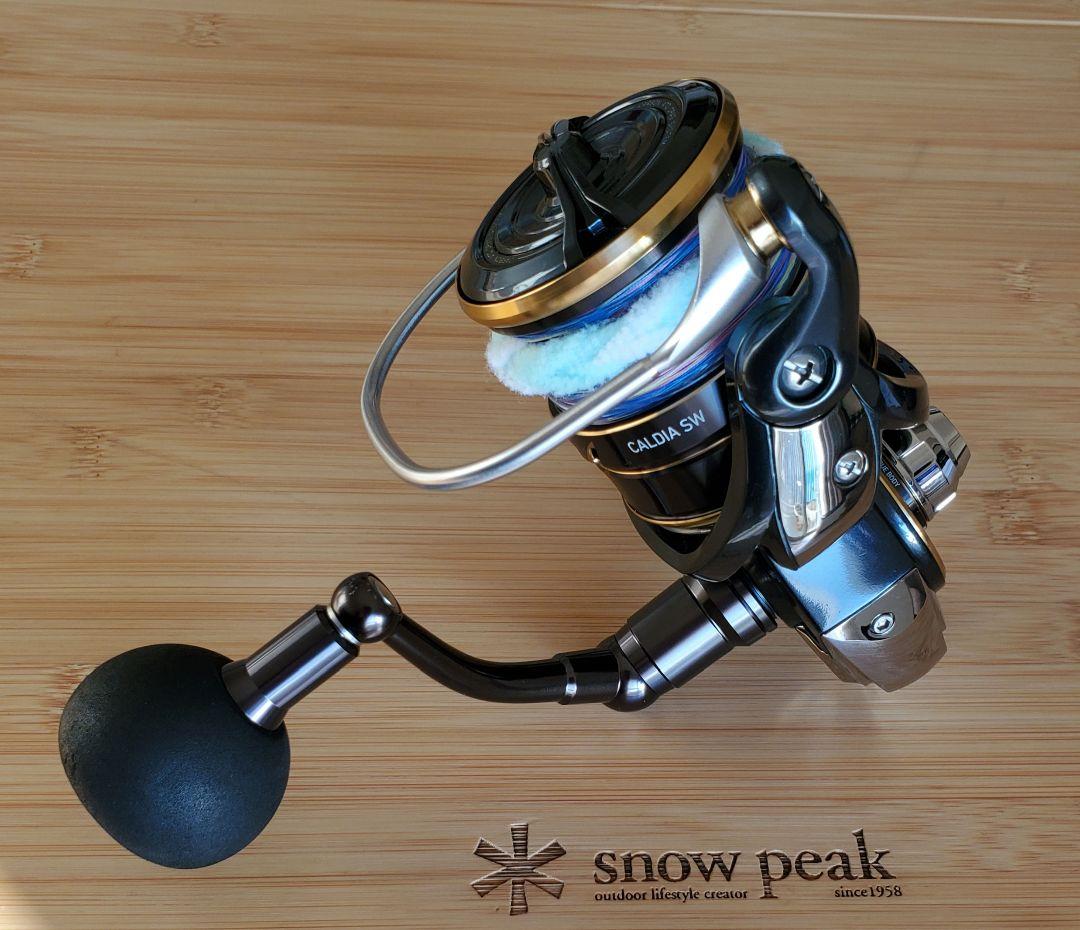 ダイワ 22カルディアSW8000-H