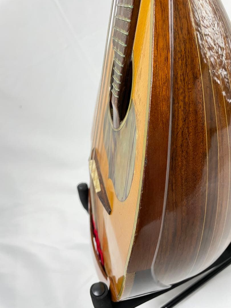 ラファエレ・ カラーチェ マンドリン No.24