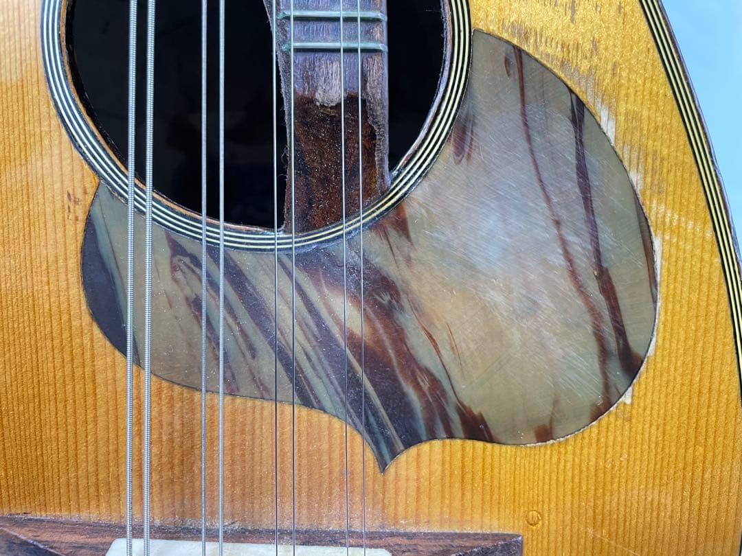 ラファエレ・ カラーチェ マンドリン No.24