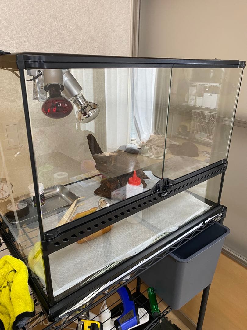 エキゾテラ6045 東広島市　とまさん専用